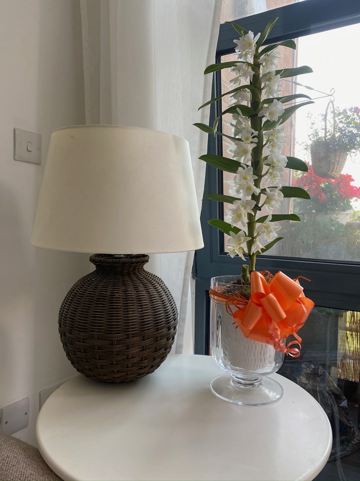 Flowering plant arrangement in a decorative pot